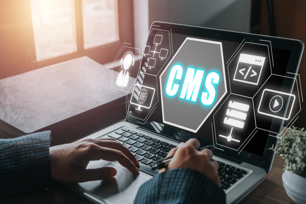 Custom CMS Development Integration Services 4