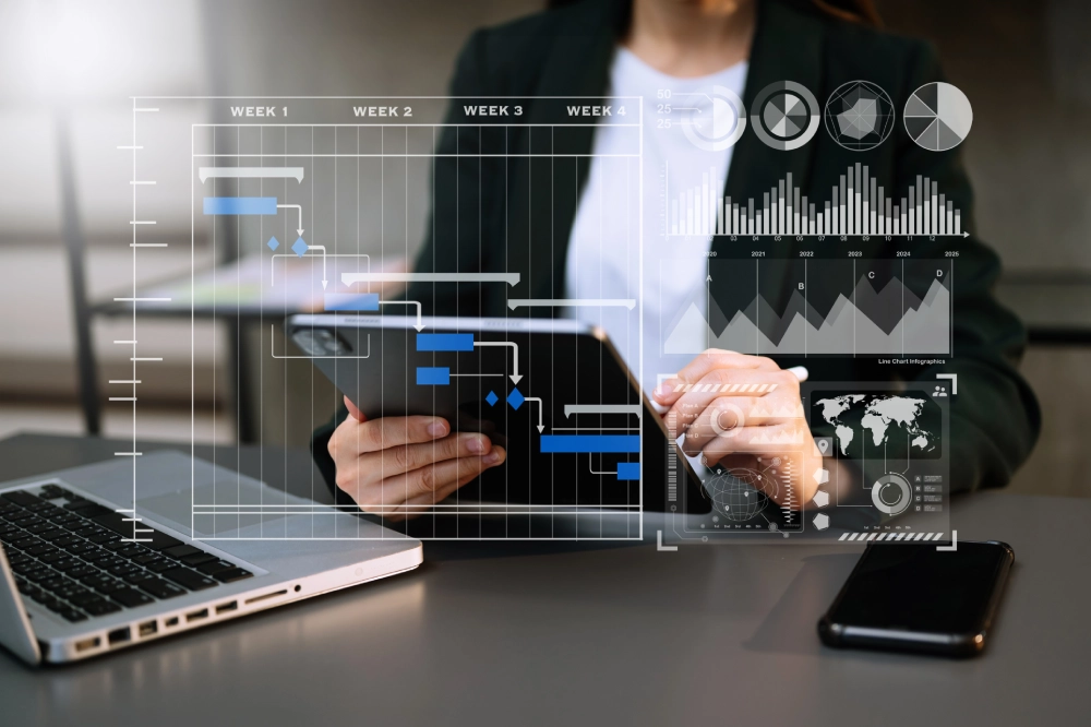 Website Development Medina 7