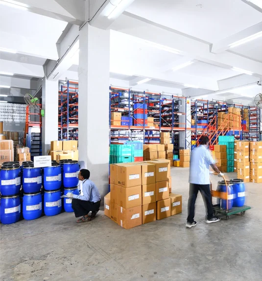 Web Development Mumbai 2